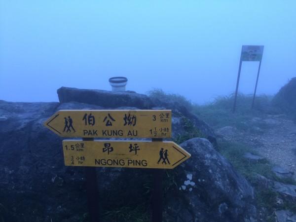狐狸的旅程